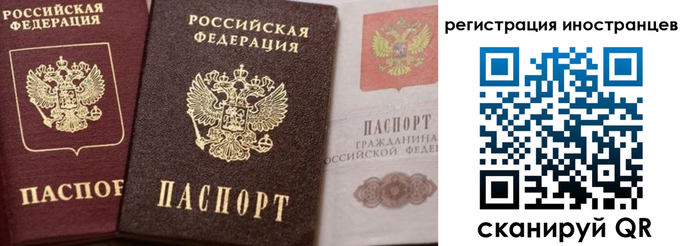 временная регистрация купить в Фрязино